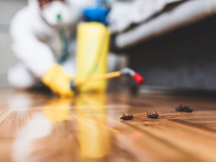 Brownsville, Bug, Bite, and Pest Control Real Talk
